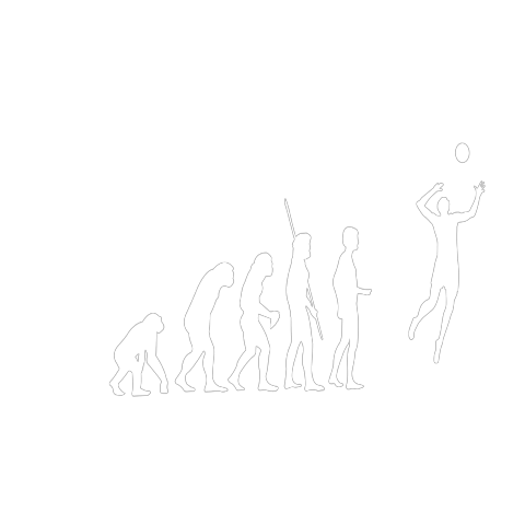 Evolution Volleyball